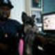 Illustration for article titled Meet 50 Cent's Dog Oprah Winfrey